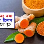 Brain Boosting Foods in Hindi