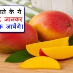 Health benefits of mango in hindi