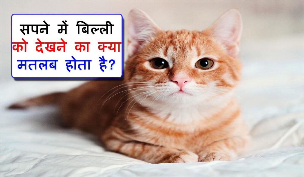 Sapne Me Billi Dekhne Ka Matlab