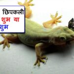 Sapne Me Chipkali Dekhna