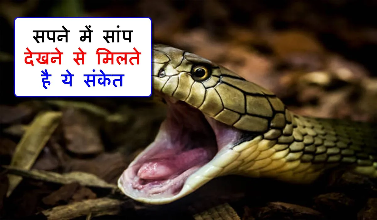 सपने में सांप को देखना शुभ या अशुभ । Sapne me saap dekhna Sapne me saap dekhna