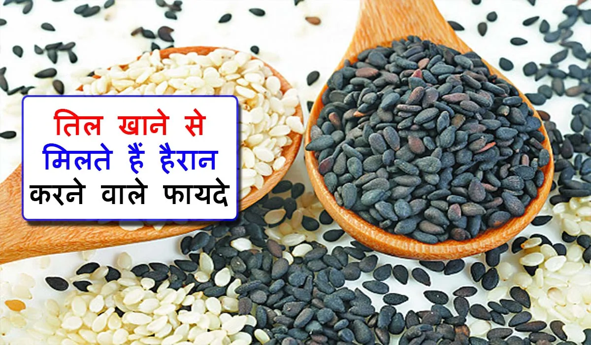 तिल खाने के फायदे : Sesame Seeds Benefits in Hindi Sesame Seeds Benefits in Hindi